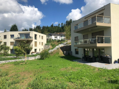 Neubau 4 Mehrfamilienhäuser Berghaldenstrasse Pfäffikon ZH